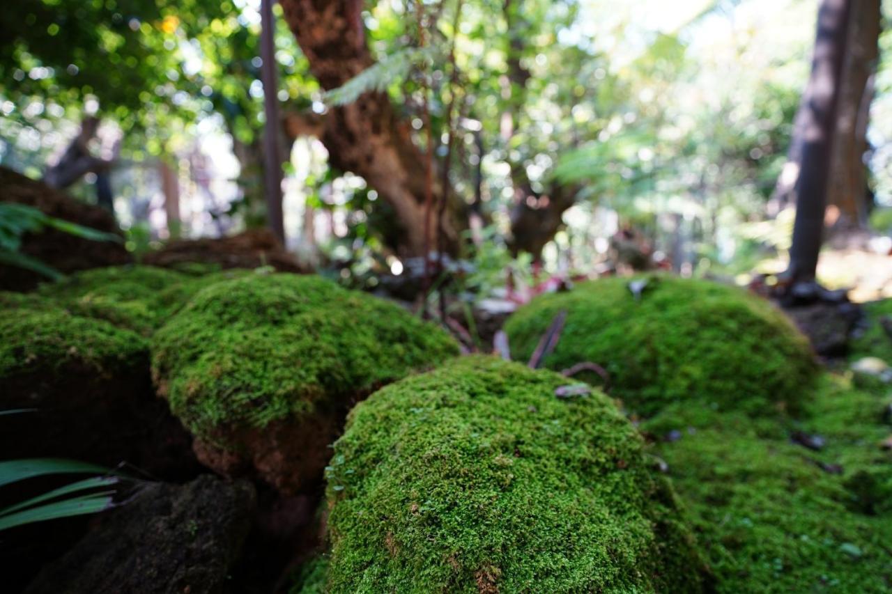 Treescape Resort Chiangmai Chiang Mai Buitenkant foto