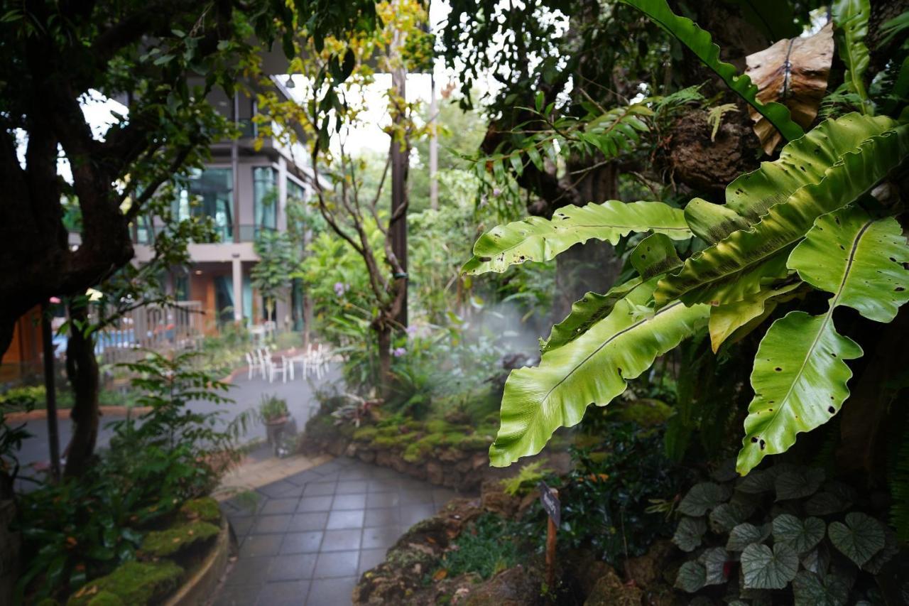 Treescape Resort Chiangmai Chiang Mai Buitenkant foto