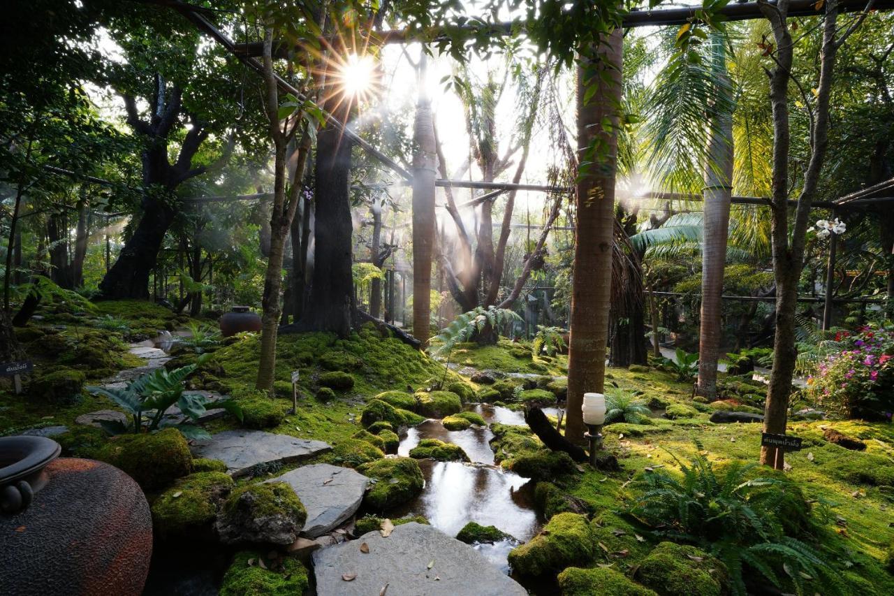 Treescape Resort Chiangmai Chiang Mai Buitenkant foto