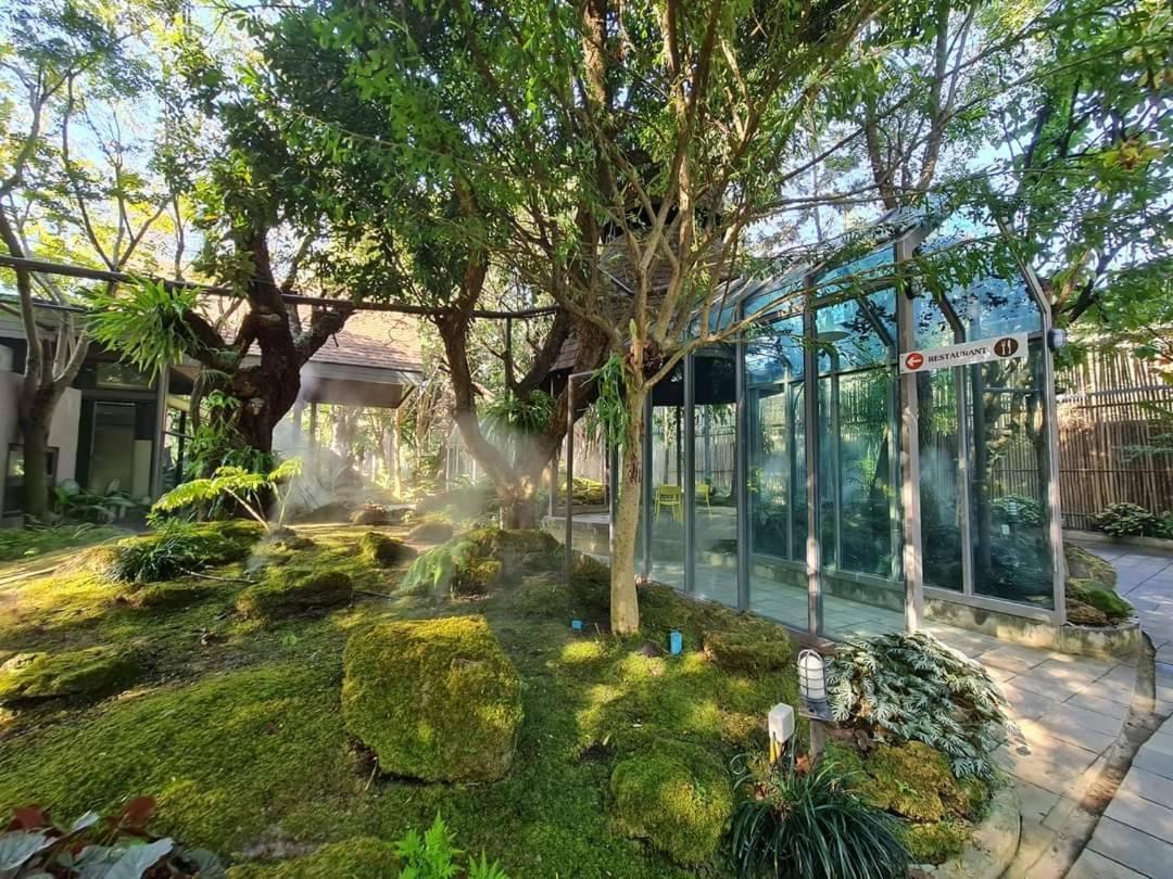 Treescape Resort Chiangmai Chiang Mai Buitenkant foto
