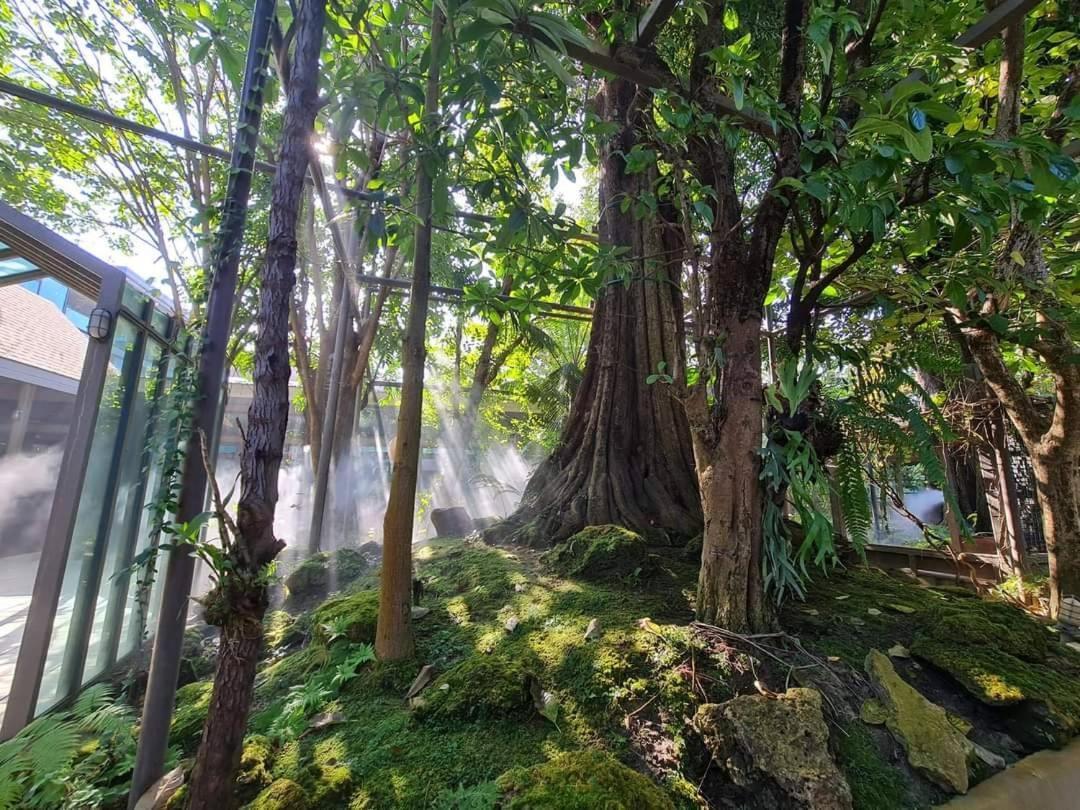 Treescape Resort Chiangmai Chiang Mai Buitenkant foto