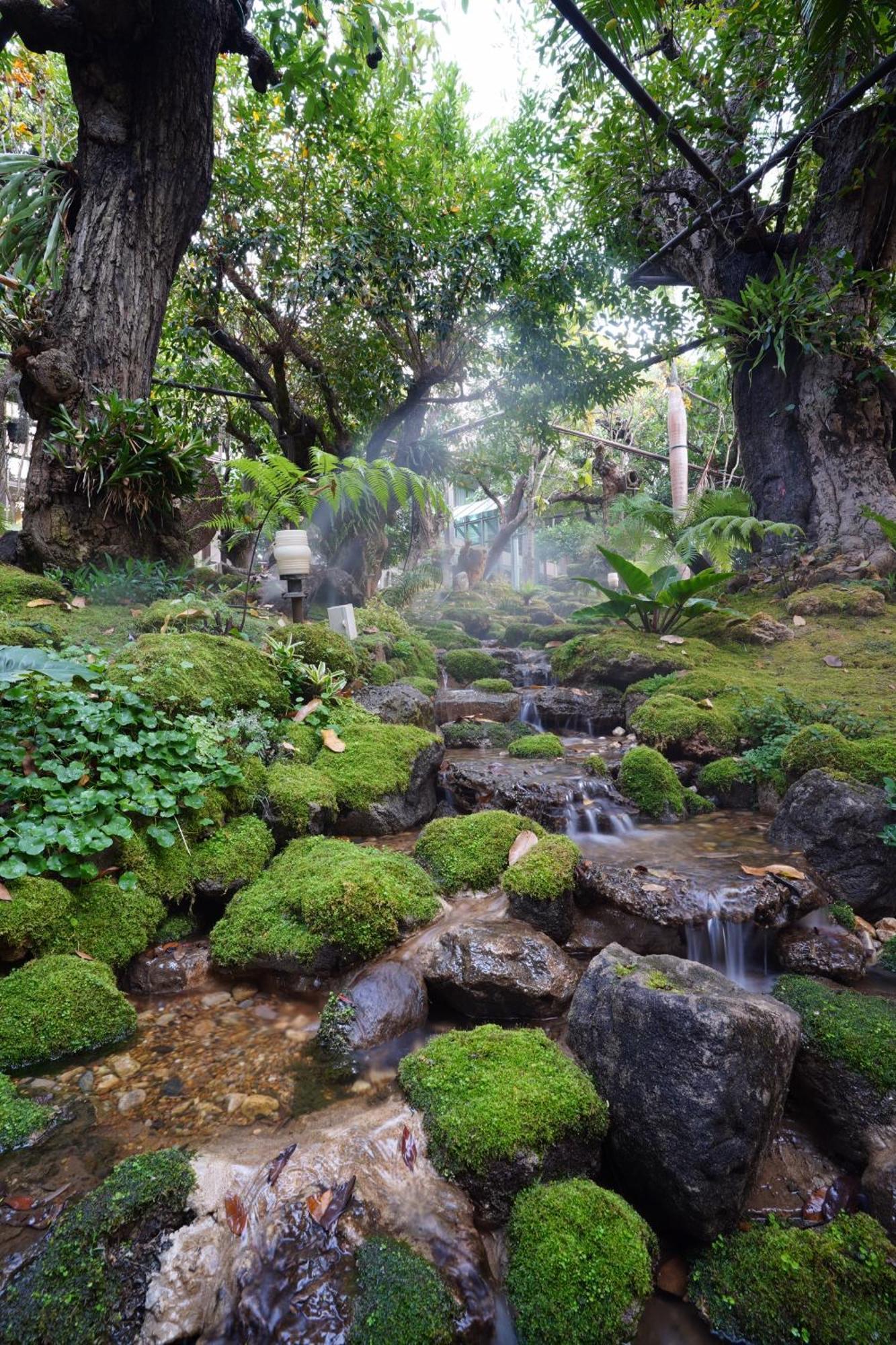 Treescape Resort Chiangmai Chiang Mai Buitenkant foto